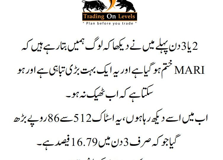 30 jan mari updated 2025